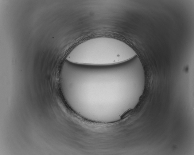 X0000111900040200907271021