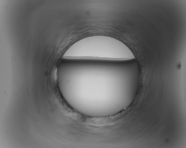 X0000111900041200907271021