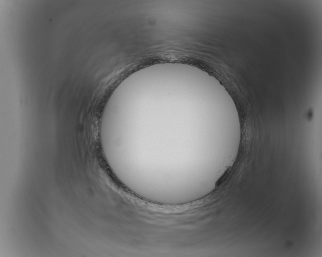 X0000111900043200907271021