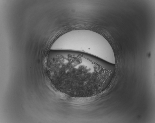 X0000111900045200907271021