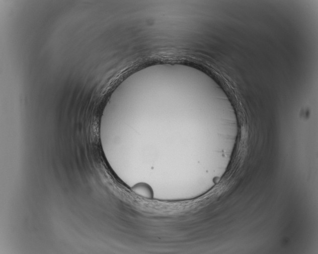 X0000111900048200907271021