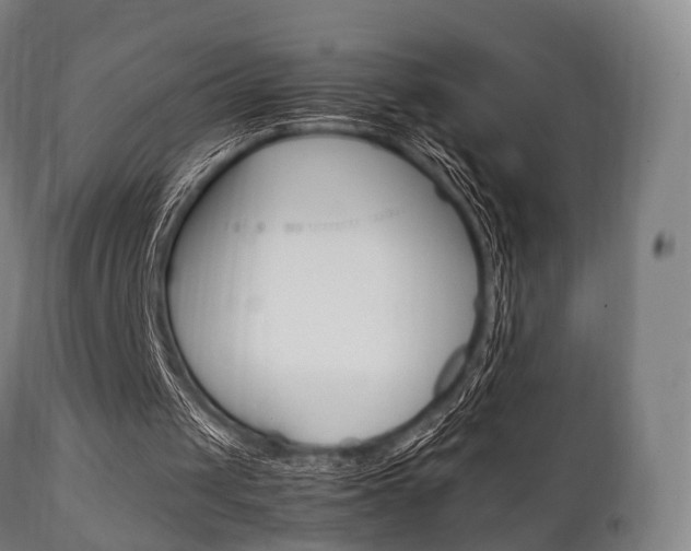 X0000111900049200907271020