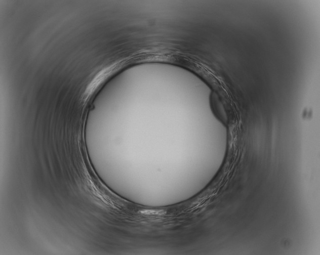 X0000111900051200907271020