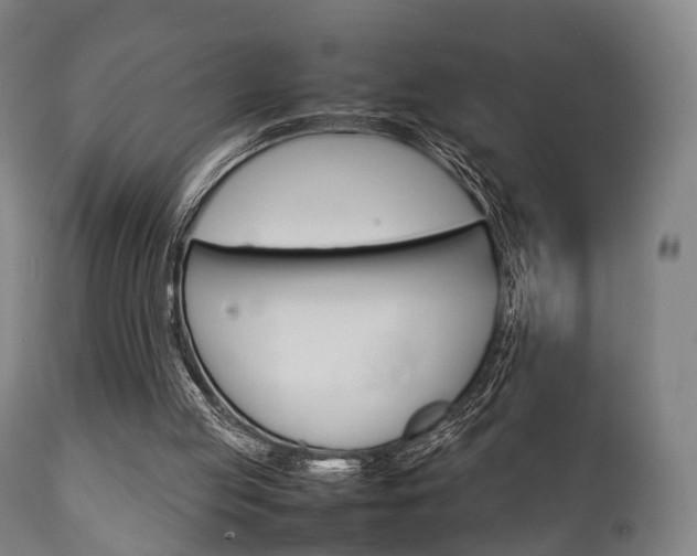 X0000111900053200907271020