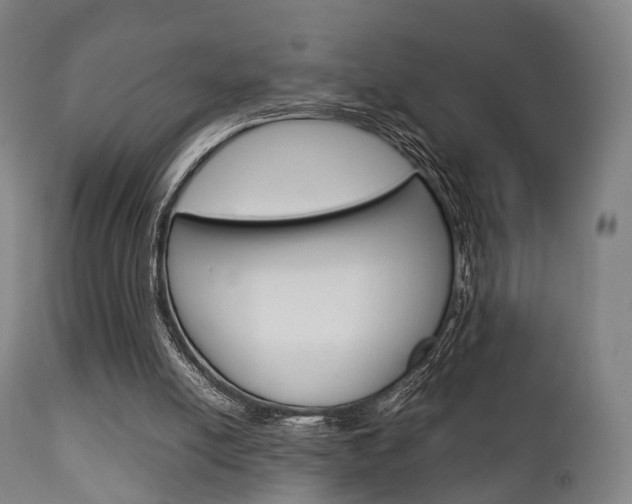 X0000111900054200907271020