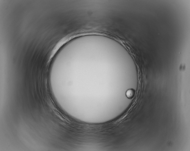X0000111900056200907271020