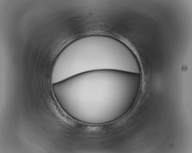 X0000111900057200907271020