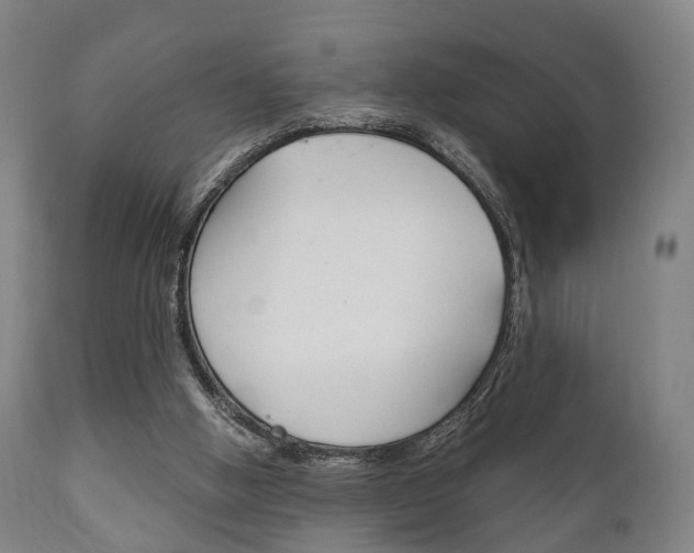 X0000111900058200907271020