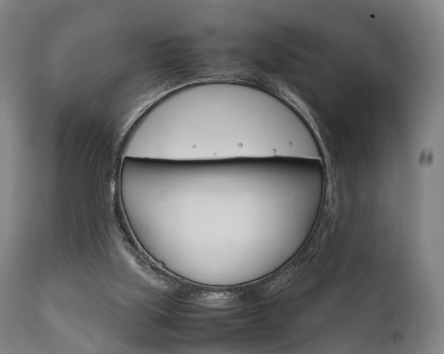 X0000111900059200907271020