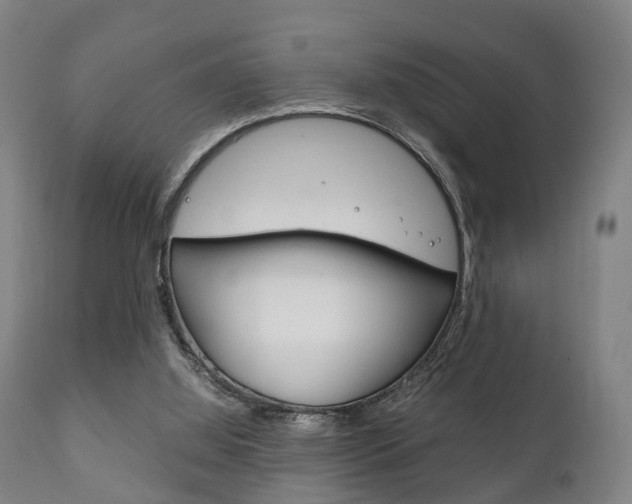 X0000111900060200907271020