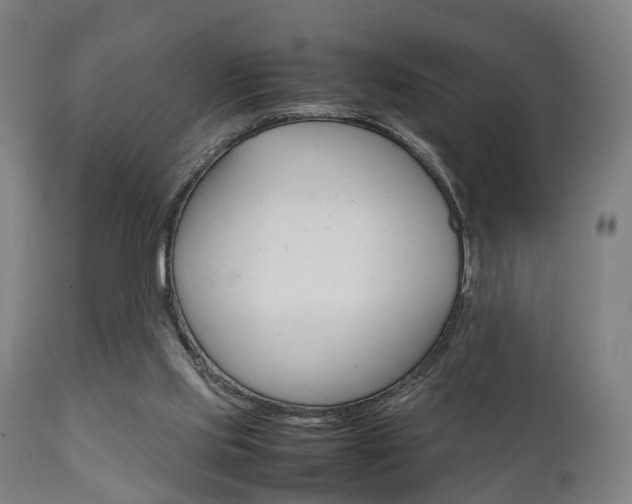 X0000111900061200907271020