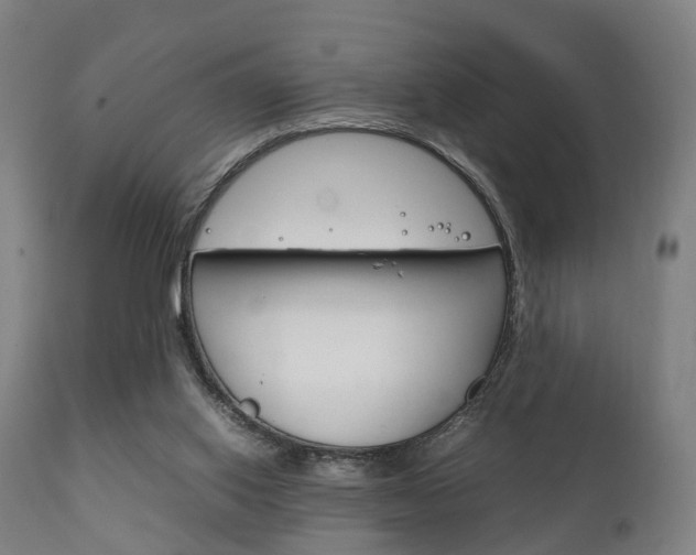 X0000111900062200907271020
