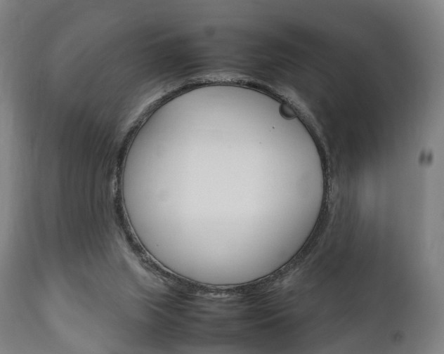 X0000111900063200907271020