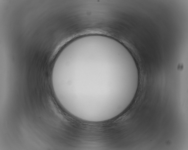 X0000111900064200907271020