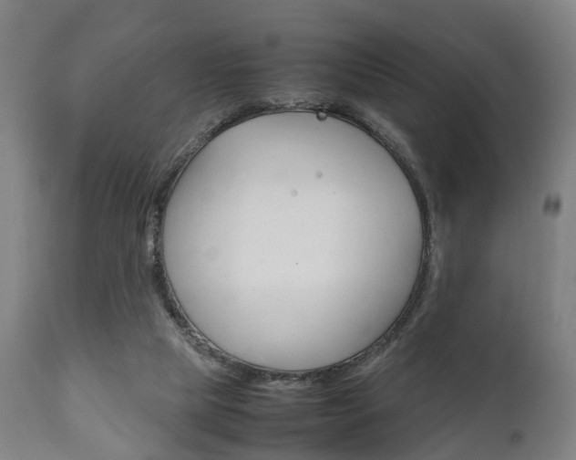 X0000111900065200907271020
