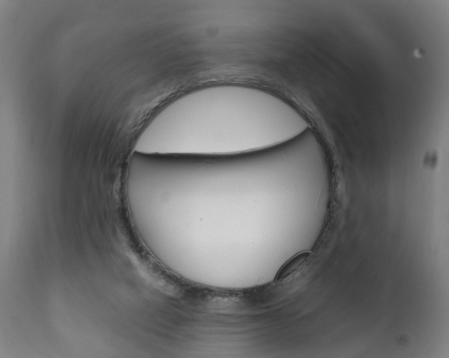 X0000111900066200907271020