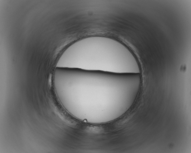 X0000111900067200907271020