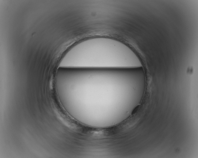 X0000111900068200907271020