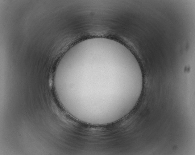 X0000111900069200907271020