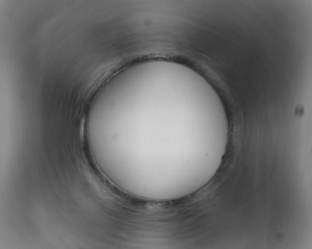 X0000111900070200907271020
