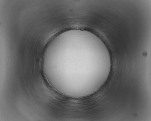 X0000111900071200907271020