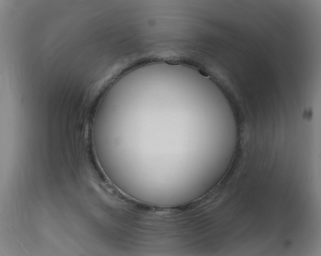 X0000111900072200907271021