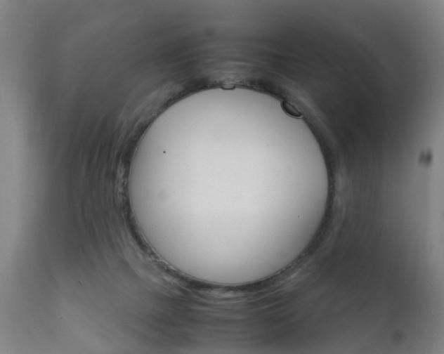 X0000111900073200907271021