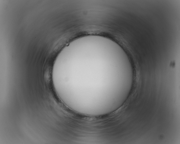 X0000111900074200907271021