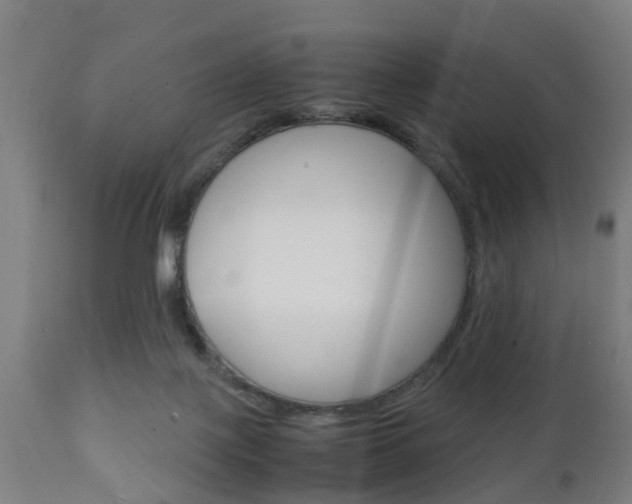 X0000111900075200907271021