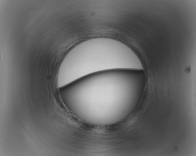 X0000111900076200907271021