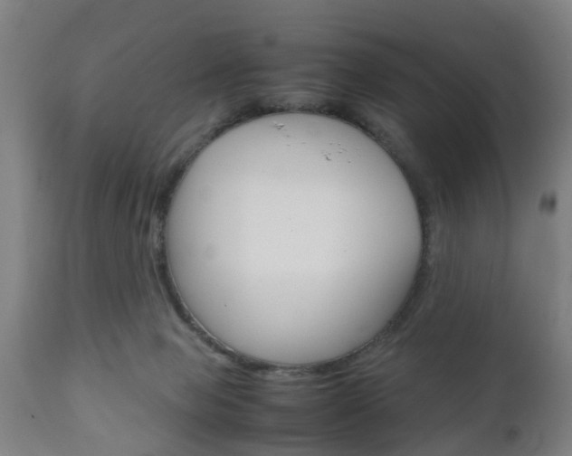 X0000111900077200907271021