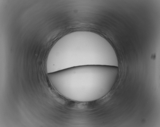 X0000111900078200907271021