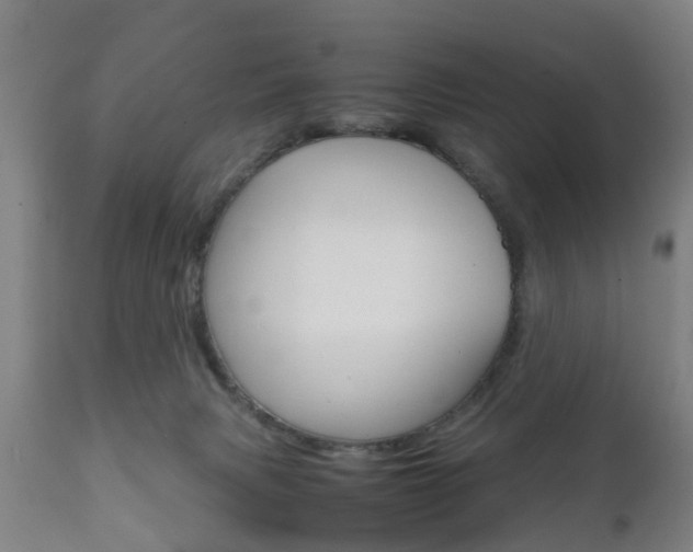 X0000111900079200907271021