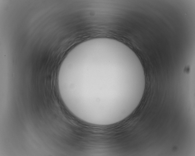 X0000111900080200907271021