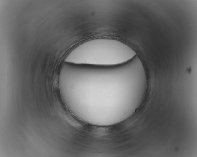 X0000111900081200907271021