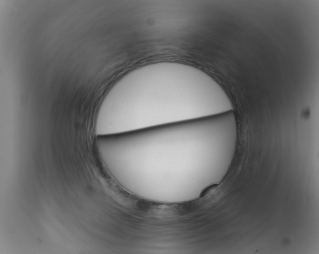 X0000111900082200907271021