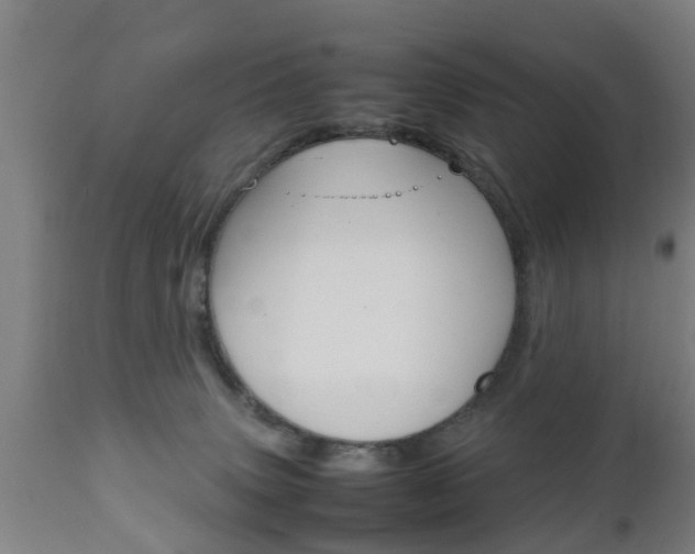 X0000111900083200907271021