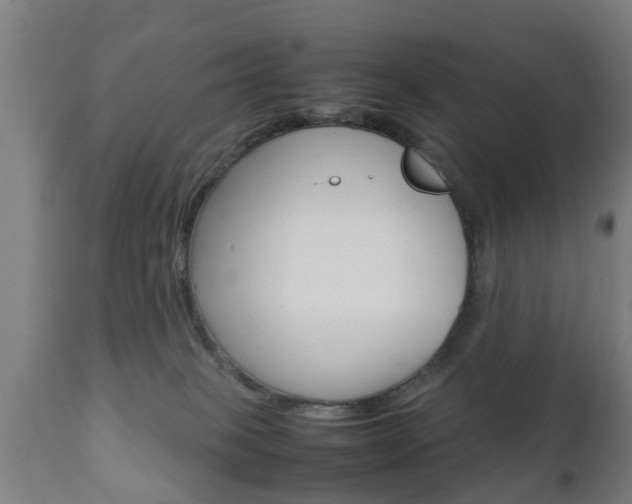 X0000111900085200907271021