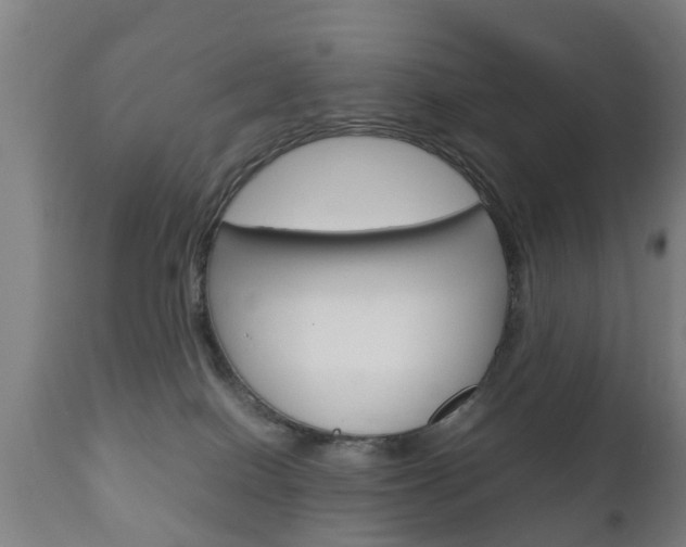 X0000111900086200907271021