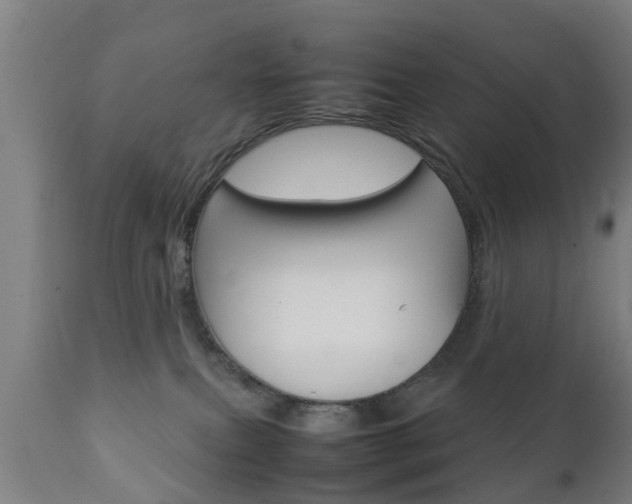 X0000111900087200907271021