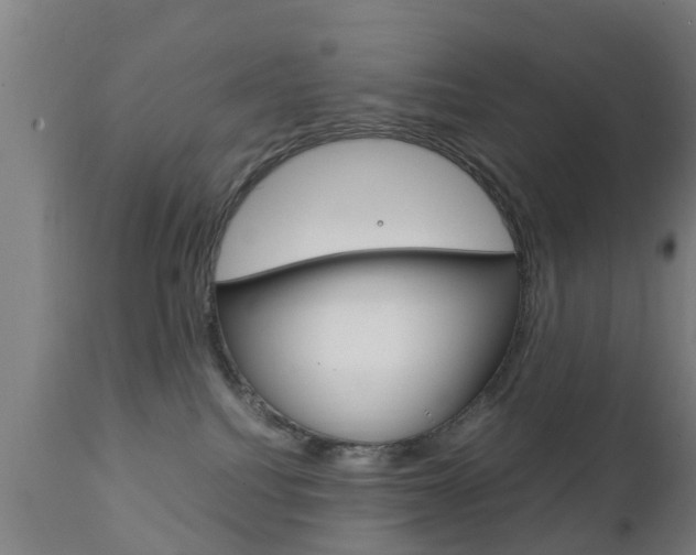 X0000111900088200907271021