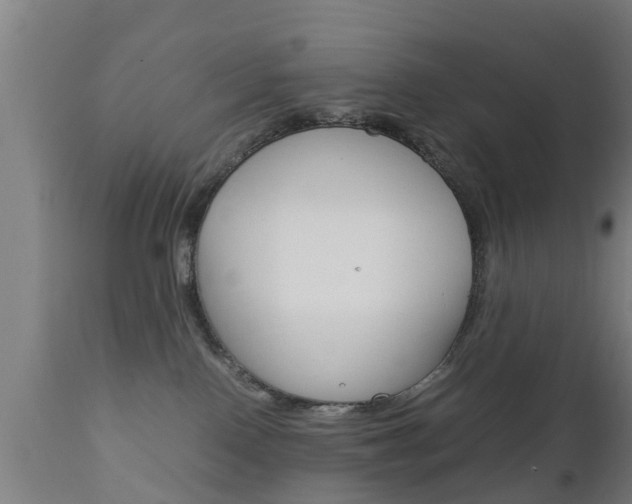 X0000111900090200907271021