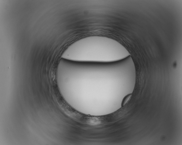 X0000111900091200907271021