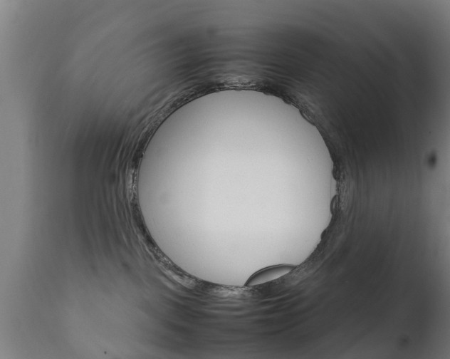 X0000111900093200907271021