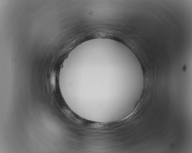 X0000111900094200907271021