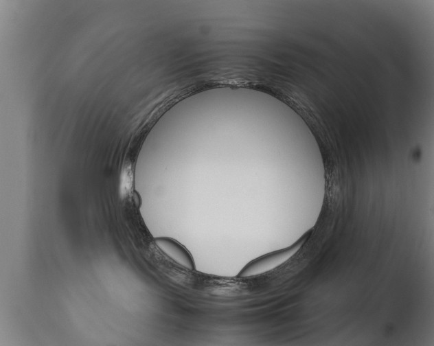 X0000111900095200907271021