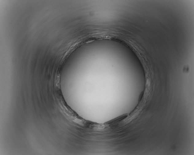 X0000111900096200907271021