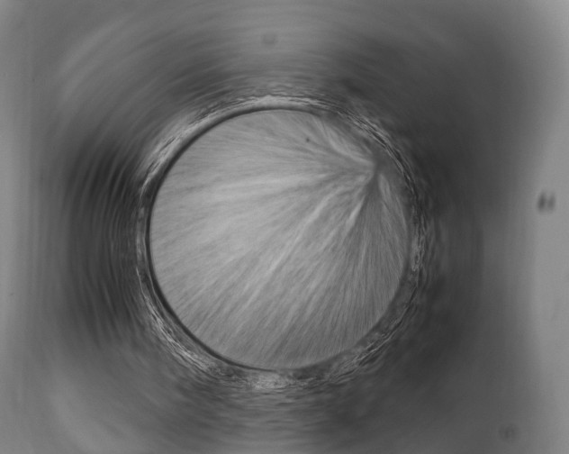 X0000111900098200907271020