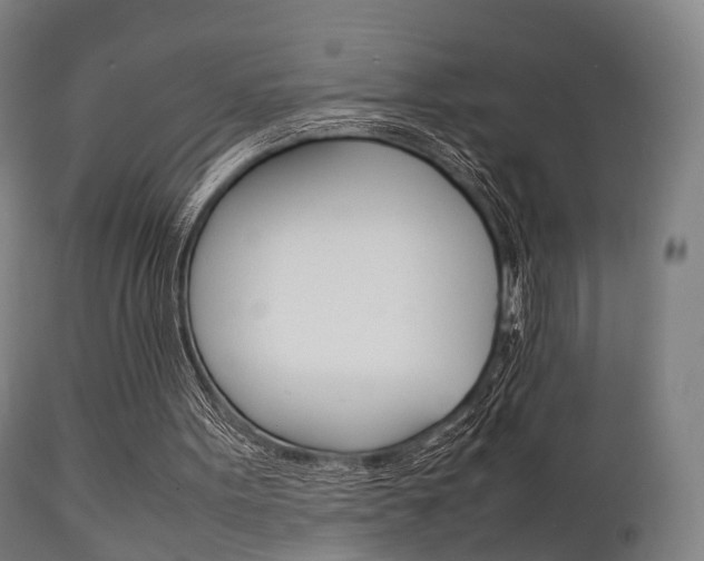 X0000111900099200907271020