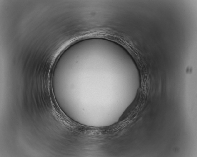 X0000111900100200907271020